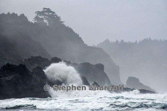 surf and cliffs 3783 1 graphic